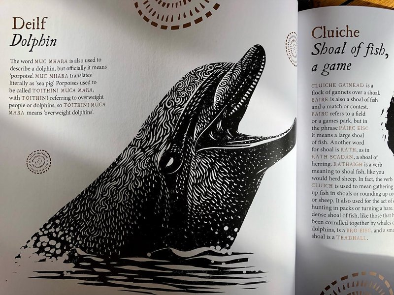 Thumbnail of cvvh-o2shmg-b4ed3bd550184156 3