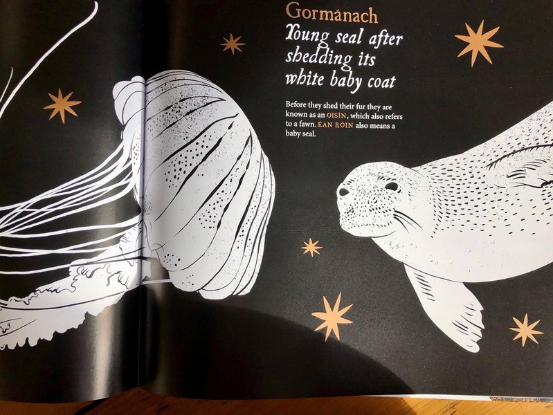 Thumbnail of cvvh-o2shmg-b4ed3bd550184156 4