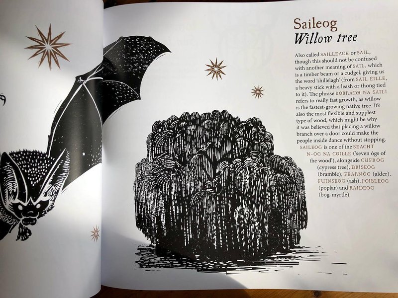 Thumbnail of cvvh-o2shmg-b4ed3bd550184156 5