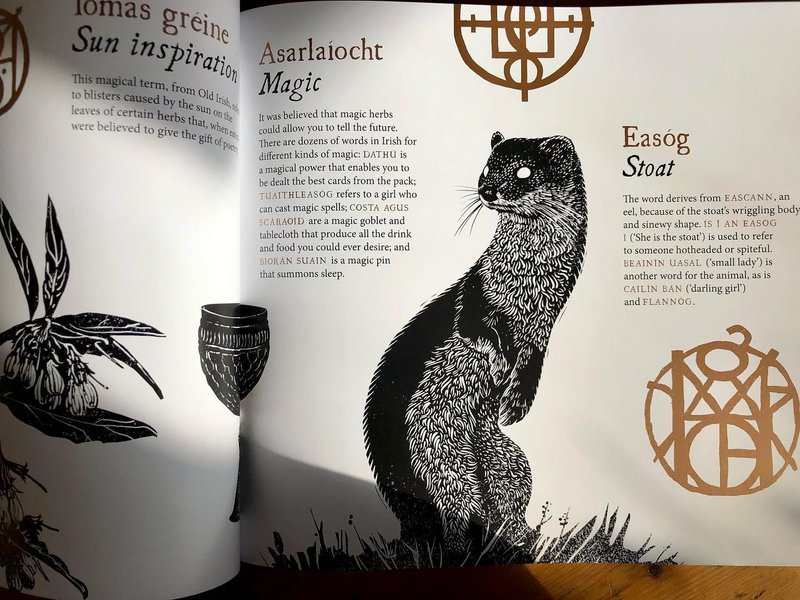 Thumbnail of cvvh-o2shmg-b4ed3bd550184156 6