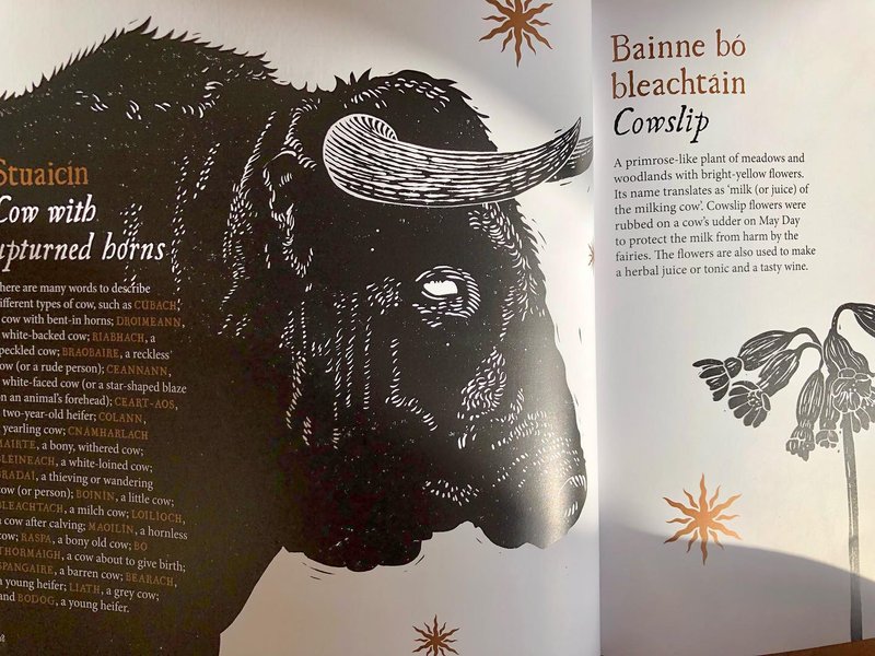 Thumbnail of cvvh-o2shmg-b4ed3bd550184156 7