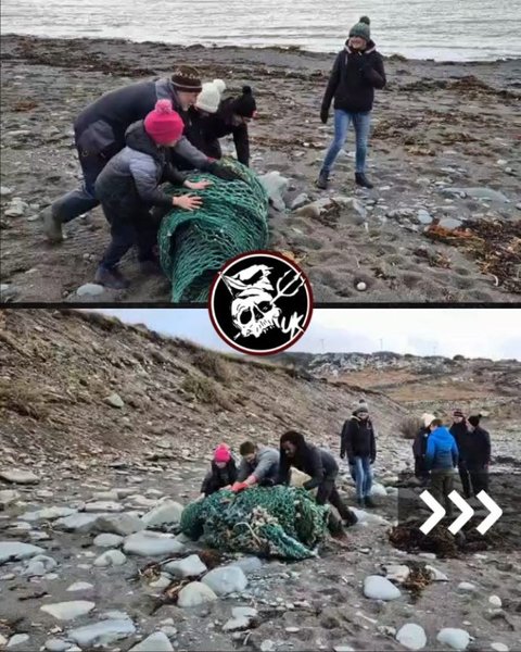 Thumbnail of dgk-4yvaphs-b4eed77f67834707 1