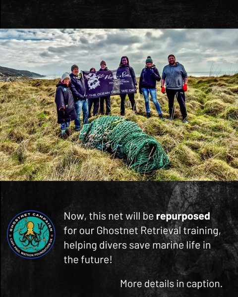 Thumbnail of dgk-4yvaphs-b4eed77f67834707 3