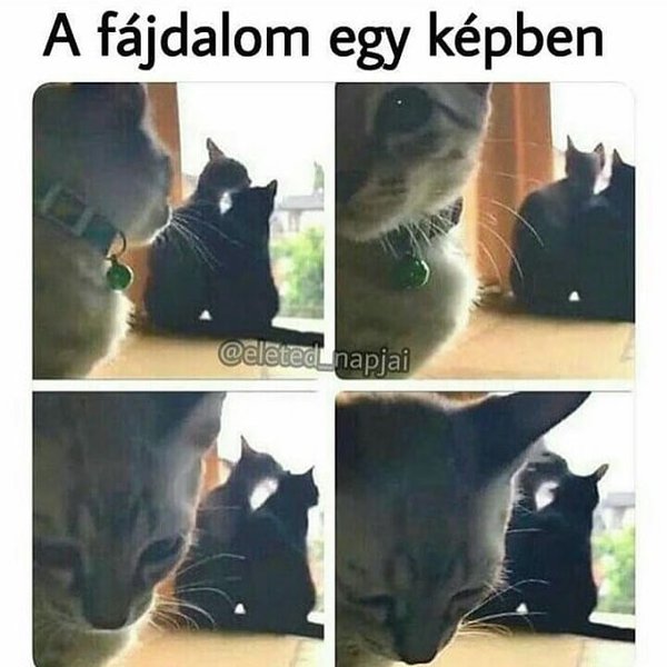 Thumbnail of p-brnoozjjcx1-b4fc7077798f4a0c 0