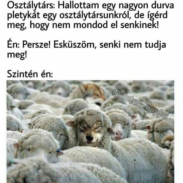 Thumbnail of p-brnoozjjcx1-b4fc7077798f4a0c 3