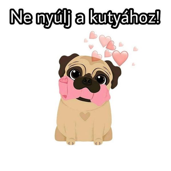 Thumbnail of p-brnoozjjcx1-b4fc7077798f4a0c 4