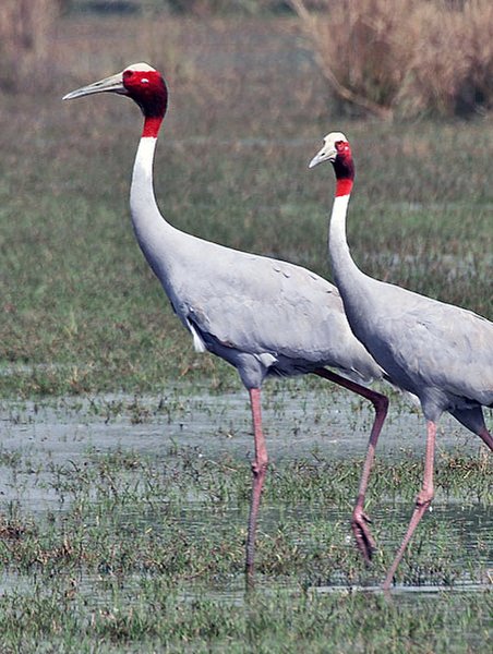 Thumbnail of p-dq7dq07jg56-b510c5f35cc443b7 4