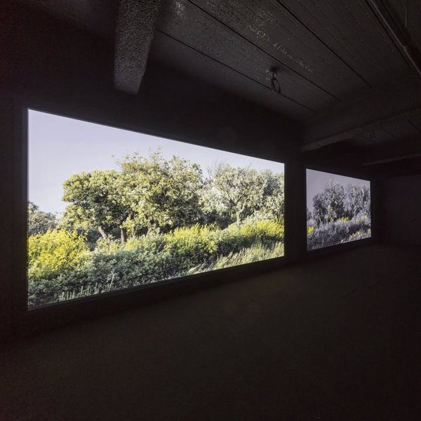 Thumbnail of cbwu-0lskib-b531f4dc143e4145 0