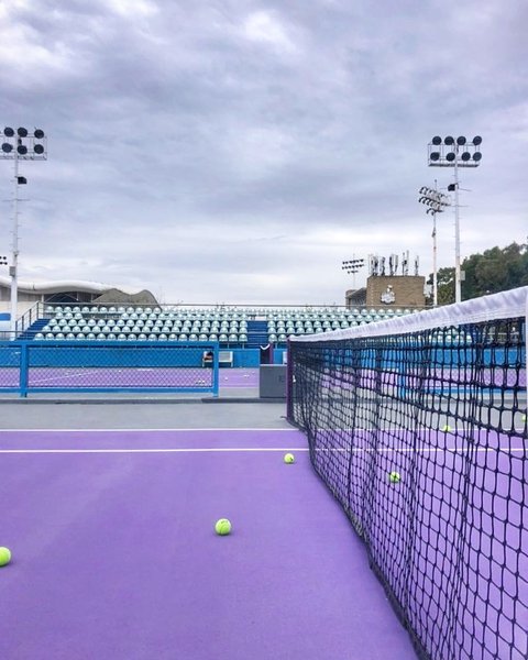 Thumbnail of cke1-nqg0x3-b537cebe5cee4fd9 0