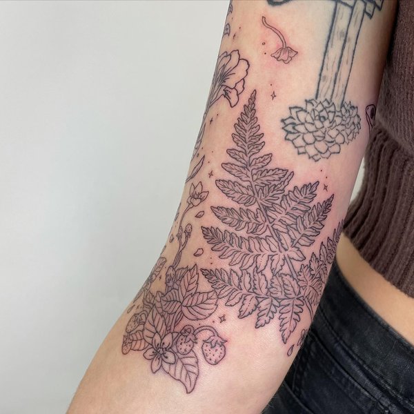 Thumbnail of ca-srdamtko-b542800a92904e9c 2