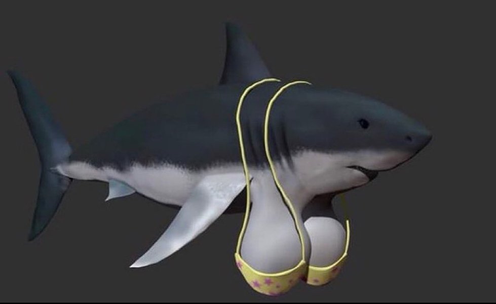 Thumbnail of p-cv2ywxrknvx-b56d03244aa9494a 0