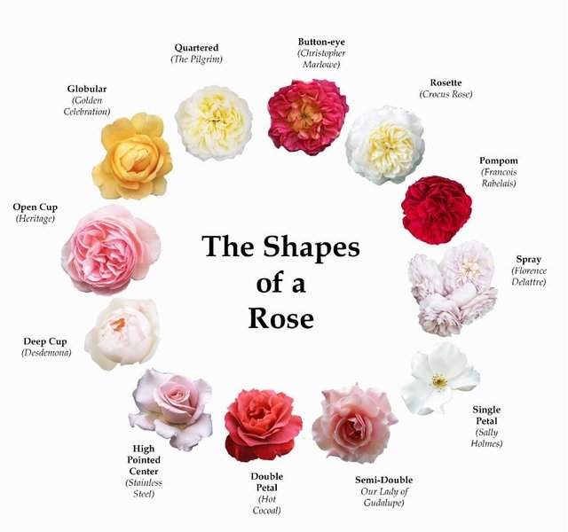 Thumbnail of p-c5rlc7dvnb1-b56d7b5733884427 0