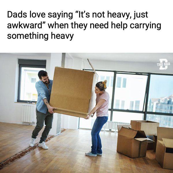 Thumbnail of p-cads0fjgnga-b5a31578f5104c9d 0