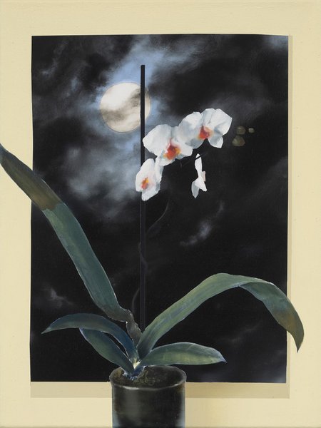 Thumbnail of p-dlsvduurwn7-b61f248921de47a2 0