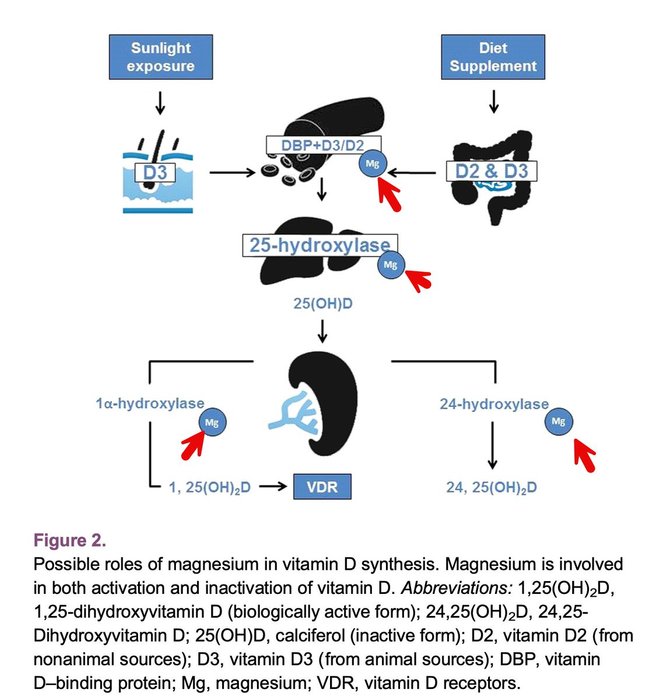 Thumbnail of www-x-com-lowmegatron-status-1951376236086759668-b62d9b20190d4858