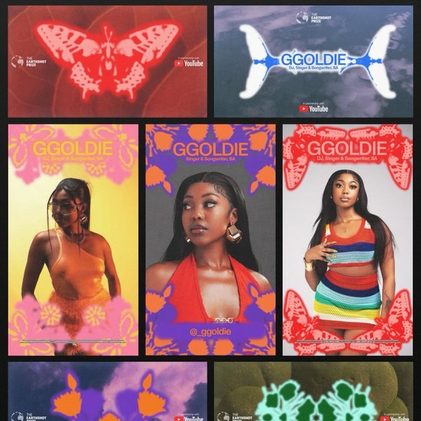 Thumbnail of p-dhjk53yidkp-b6368bea98734f18 2