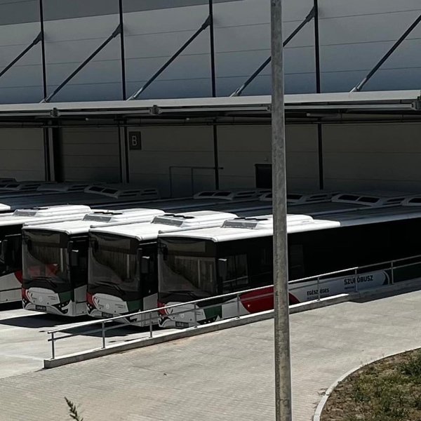 Thumbnail of p-cvoxpo9kus3-b6502dca17f545c9 3