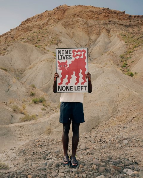 Thumbnail of p-crqztamjykv-b67569da554c452a 2