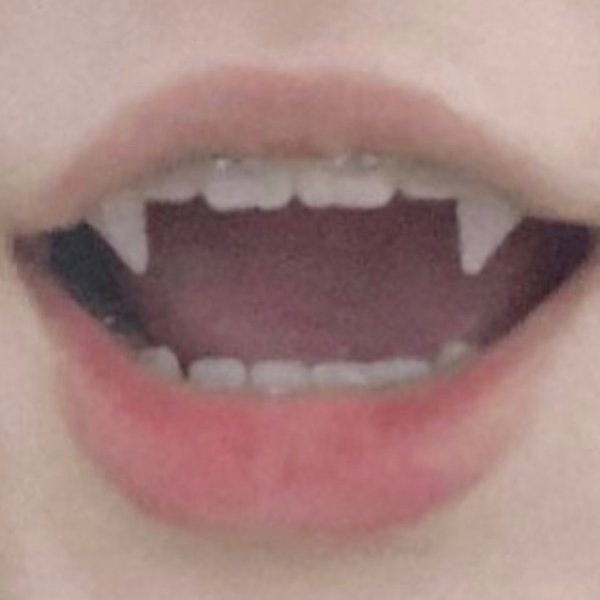 Thumbnail of co-plh6gujc-b677efb247be49ea 1