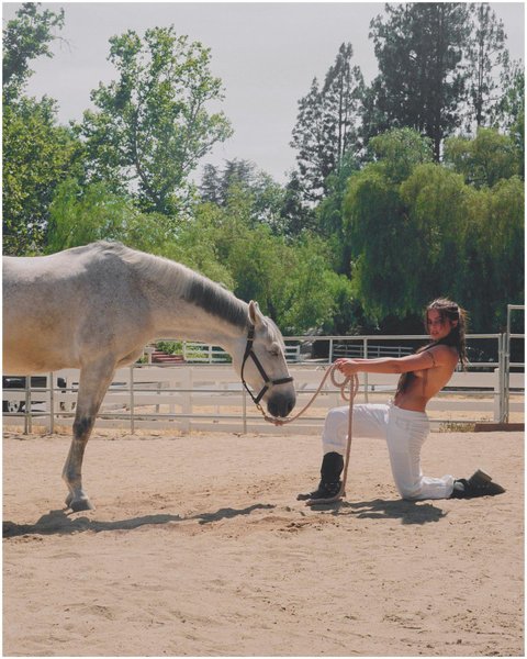 Thumbnail of p-cgstdyepype-b679a6c1084f41f8 3