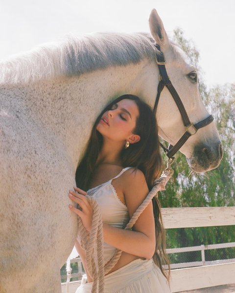 Thumbnail of p-cgstdyepype-b679a6c1084f41f8 7