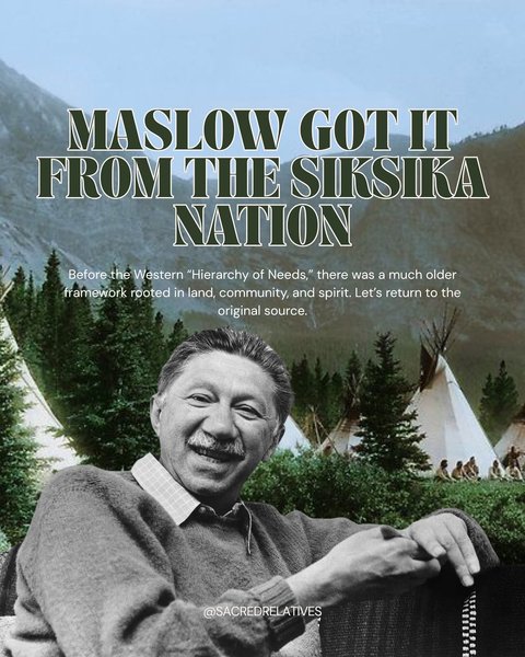 Thumbnail of p-dlbjtisorwt-b685253528a049fc 0