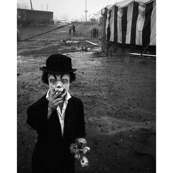 Thumbnail of p-cnfdq0uhlrf-b6a3b6b68e024bae 0