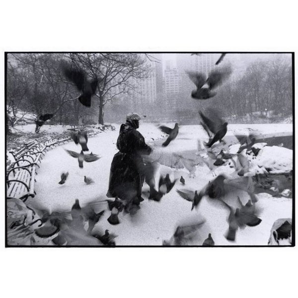 Thumbnail of p-cnfdq0uhlrf-b6a3b6b68e024bae 5