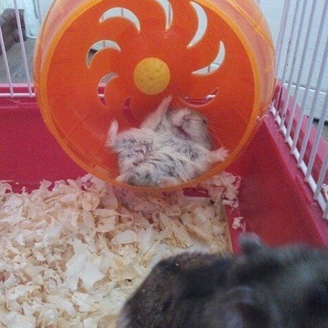 Thumbnail of p-bvewfddf4kq-b74642bbd6e0461b 0