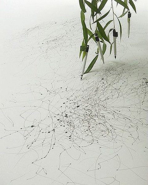 Thumbnail of p-chk5olqair8-b74b6f792b3b41c9 0