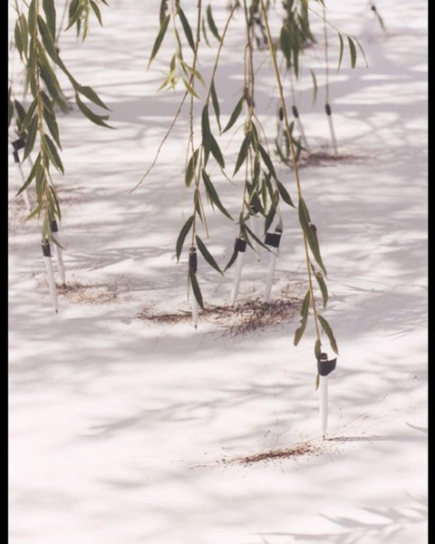 Thumbnail of p-chk5olqair8-b74b6f792b3b41c9 3