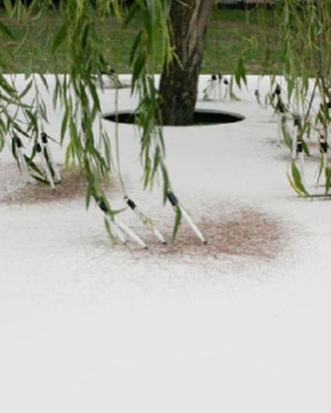 Thumbnail of p-chk5olqair8-b74b6f792b3b41c9 5