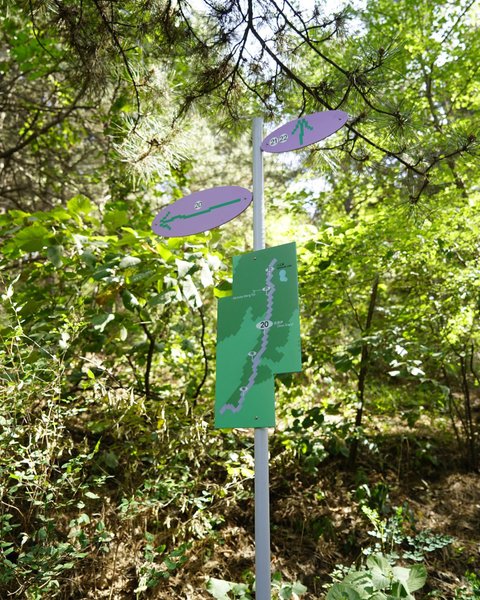 Thumbnail of p-culkosrokrj-b75820c1c8da4f50 2