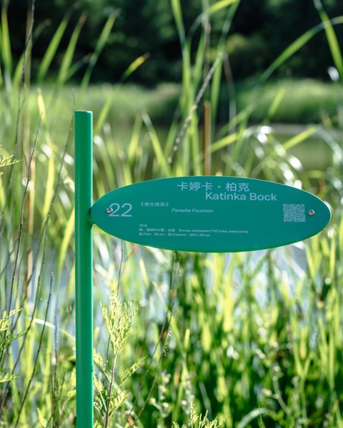 Thumbnail of p-culkosrokrj-b75820c1c8da4f50 3