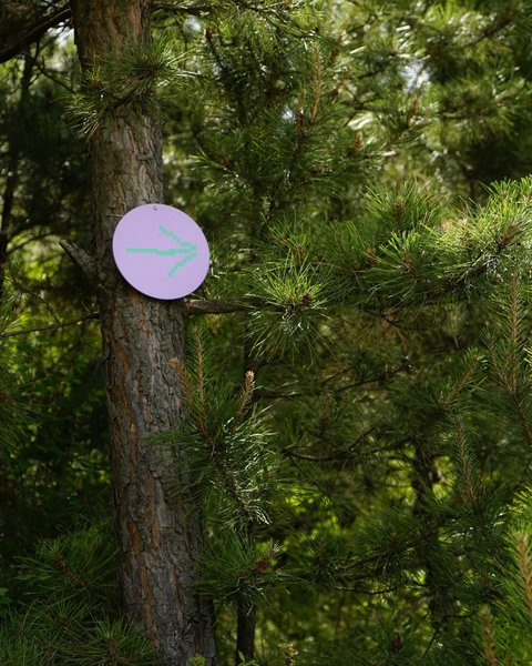 Thumbnail of p-culkosrokrj-b75820c1c8da4f50 4