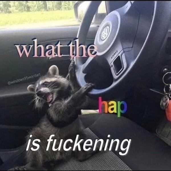 Thumbnail of p-c7y3zdbyh3z-b786837824ac456b 1