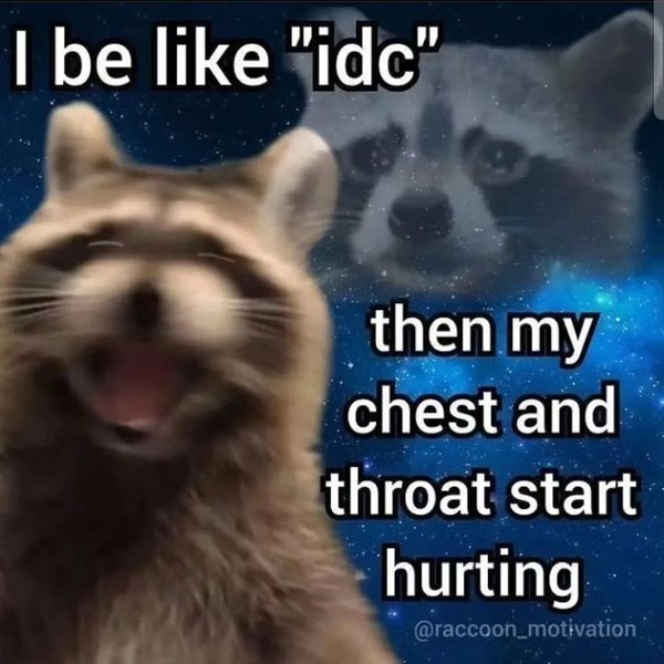 Thumbnail of p-c7y3zdbyh3z-b786837824ac456b 2