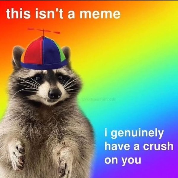 Thumbnail of p-c7y3zdbyh3z-b786837824ac456b 3