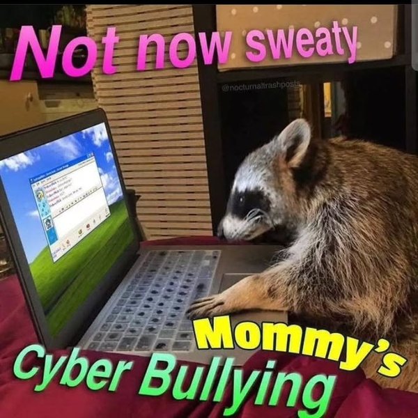 Thumbnail of p-c7y3zdbyh3z-b786837824ac456b 4