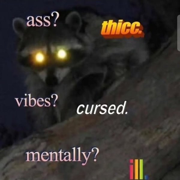 Thumbnail of p-c7y3zdbyh3z-b786837824ac456b 5