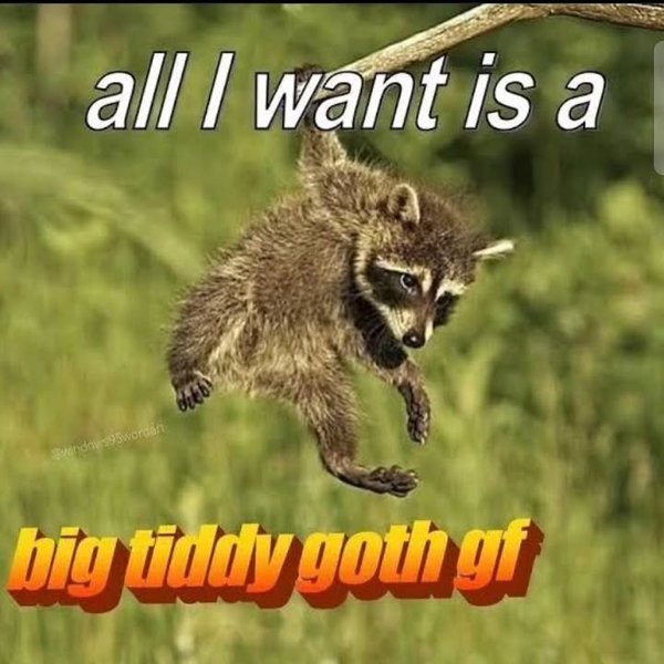 Thumbnail of p-c7y3zdbyh3z-b786837824ac456b 6