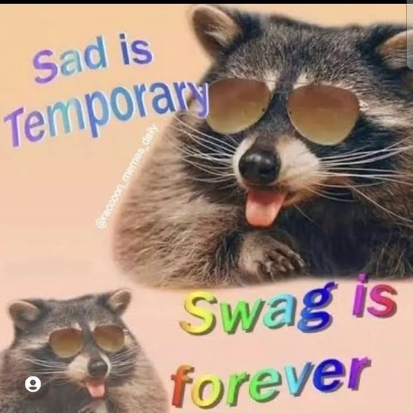 Thumbnail of p-c7y3zdbyh3z-b786837824ac456b 7