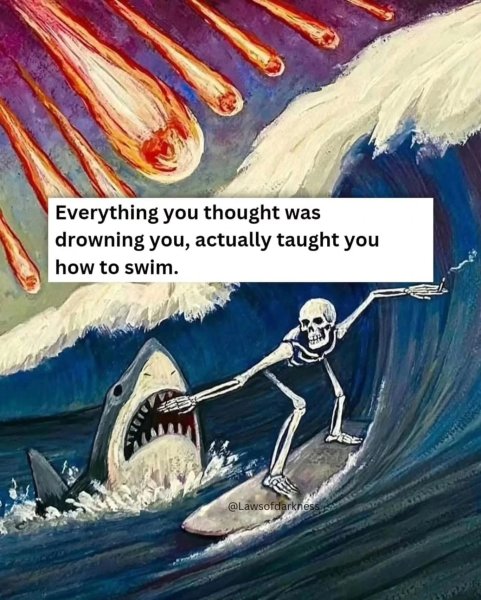 Thumbnail of p-dmx5nyujrcn-b7a716ef9ee9495c 0