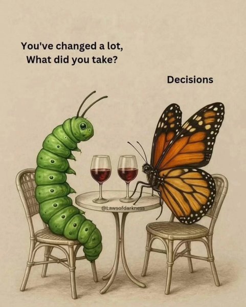 Thumbnail of p-dmx5nyujrcn-b7a716ef9ee9495c 16