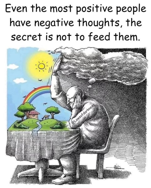 Thumbnail of p-dmx5nyujrcn-b7a716ef9ee9495c 7