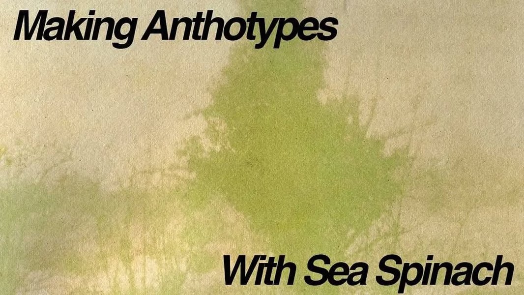 Thumbnail of p8ii-8n-b7b5530b1f4e4ab6 0