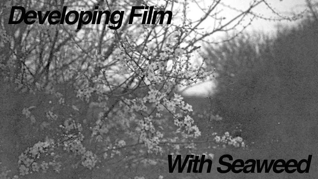 Thumbnail of p8ii-8n-b7b5530b1f4e4ab6 1