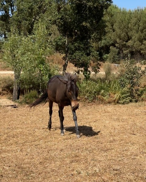 Thumbnail of p-dlmghjta57i-b7c47193596346fe 13