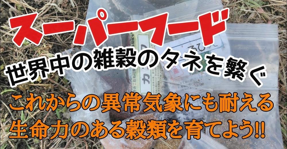 Thumbnail of www-x-com-kibi-tsuki-status-1489228135736688649-b7c7f98d18674960