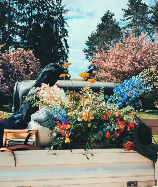 Thumbnail of p-bdyir1sgrd9-b859a17d8fc946af 0